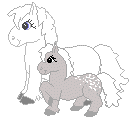 Mon petit poney !!!