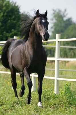 Trop beau!!!