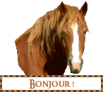 salut a tous!!!^^