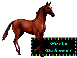 porte bonheur
